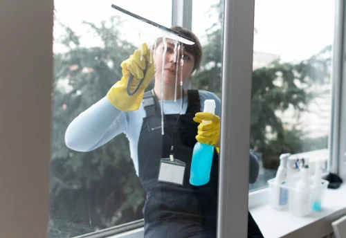 Nettoyage de vitres intérieures et extérieures à Yzernay